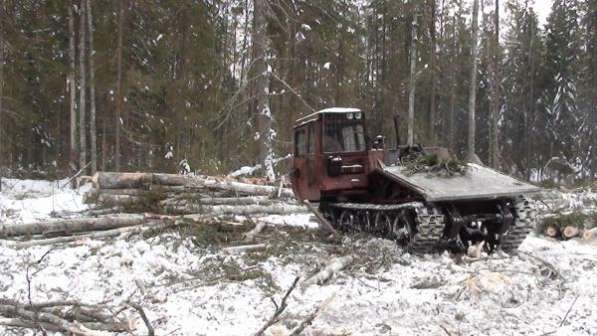 Лесозаготовительная база в Костромской области в Краснодаре фото 6