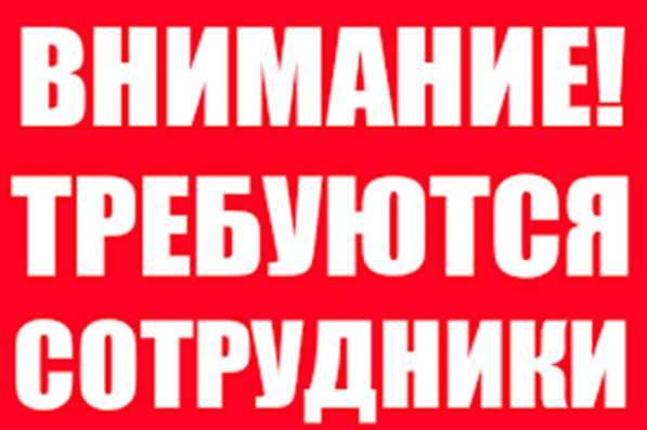 Требуется (не сетевая компания) офис менеджер, бухгалтер