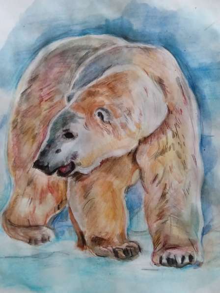 Рисунок белого медведя