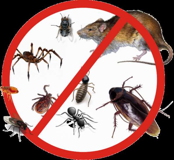 Инсектициды на различные культуры