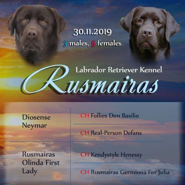 Продажа щенков в Москве