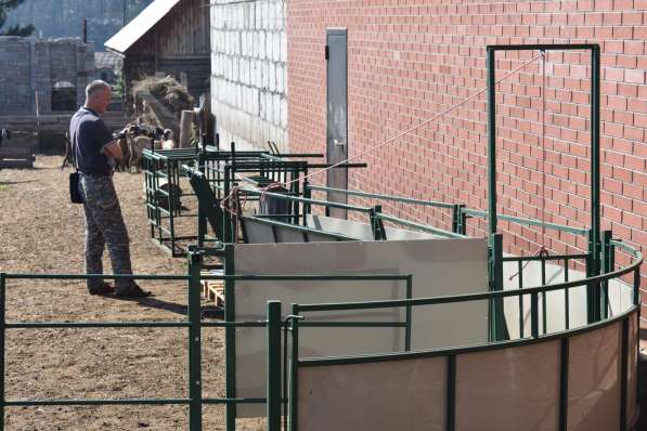 Овцы, козы МРС: оборудование-станок-фиксатор от Шипмастер в Волгограде фото 4