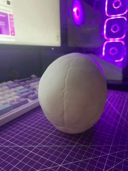 Череп Анатомический 1:2 в Москве