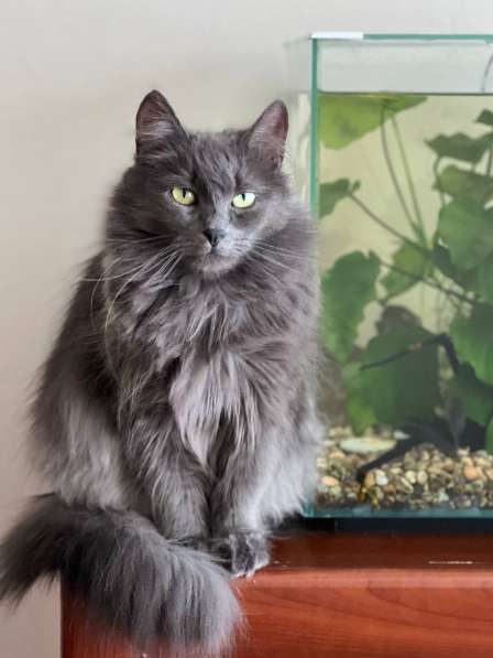 Шикарная Марси в фото 6