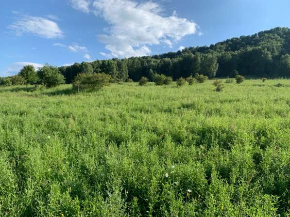 Продам у часток в Горно-Алтайске фото 3