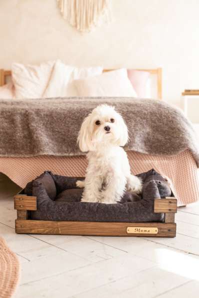 Именная лежанка для кошек и собак мелких пород 55х40 см в Москве