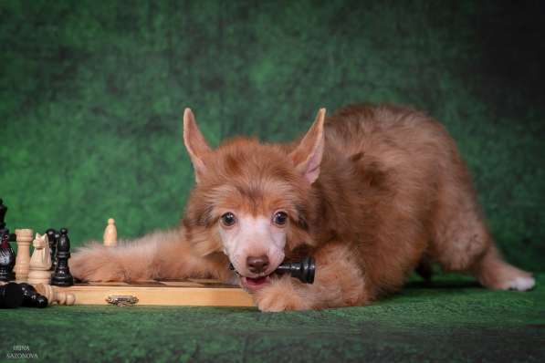 КХС в Москве фото 11