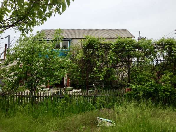 Продается дом на участке 15 соток в Пурдовке в фото 6