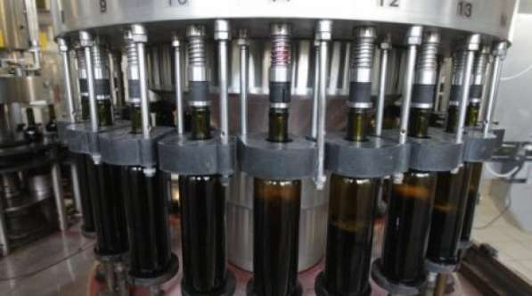 Технологическое оборудование для переработки винограда