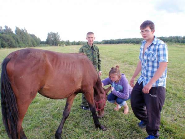 Конный лагерь для детей и взрослых в Сергиевом Посаде фото 5