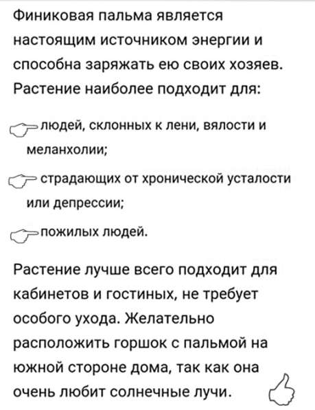 Продаются Финиковые Пальмы в фото 25
