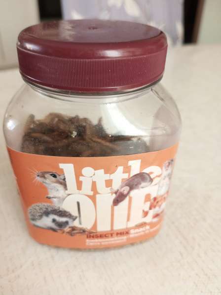 Няня в детский сад в Раменское фото 3