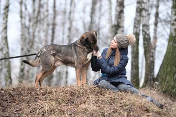 Надёжный Друг Курт ищет семью в Москве фото 48