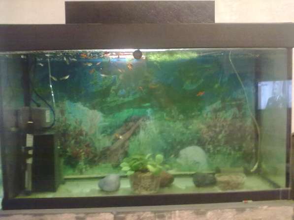 Продам аквариум на 500 литров в Обнинске фото 3
