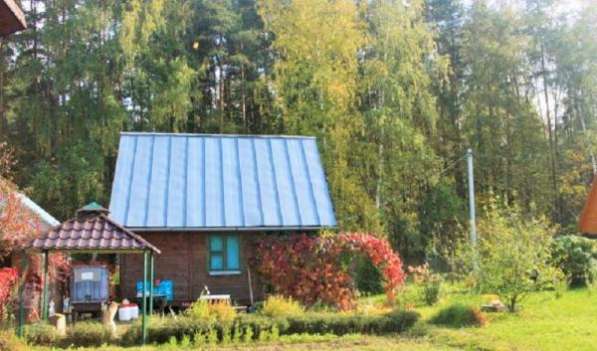 Дача в Ногинске фото 5