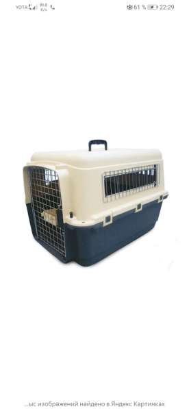 Переноска для средних собак в Москве фото 4
