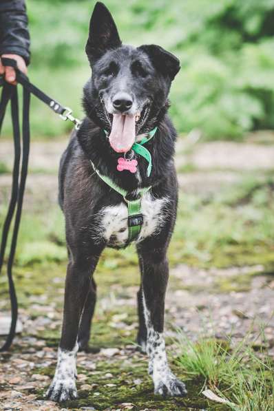 Уникальная Шерри в поисках своего Человека в Москве фото 4