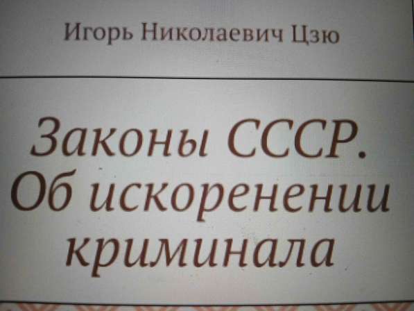 Игорь Цзю: "Восьмое Обращение Верховного Правителя СССР" в Кургане фото 3
