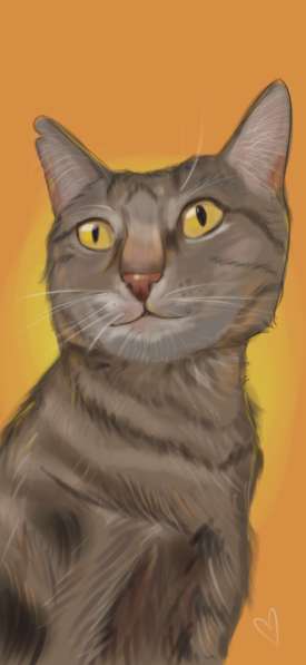 Рисую питомцев по фото в Москве