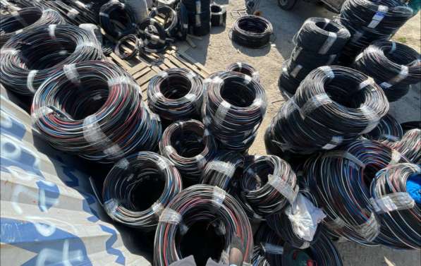 Сип в Ростове-на-Дону