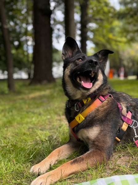 Ласковая и весёлая Мира в Москве фото 7