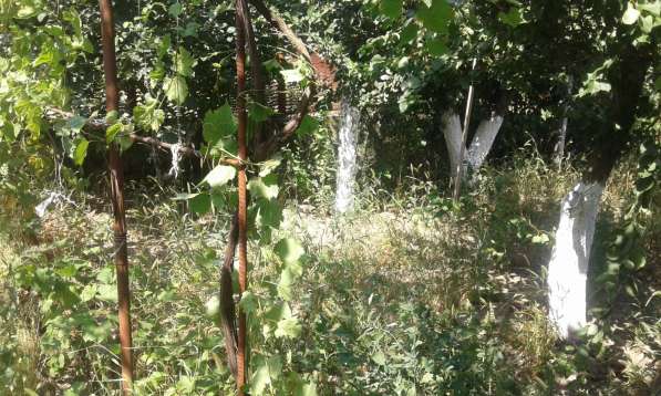 Срочно Продам дом (дача) в фото 7