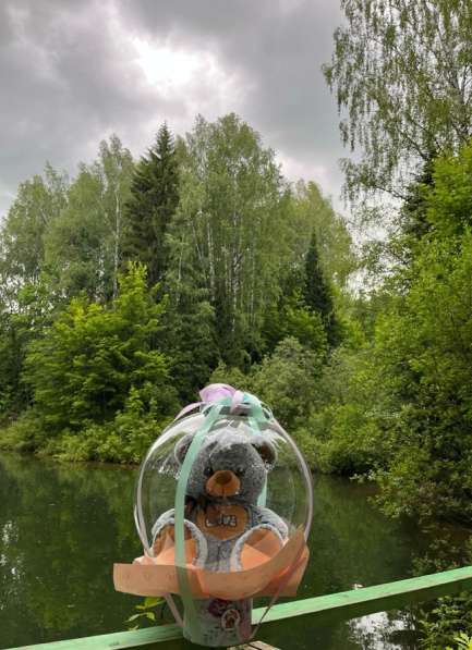 Воздушный шар Babls и Мишка в Кирове фото 5