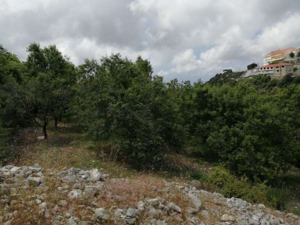Land for sale in Lebanon, close to the sea, and quiet area в фото 5