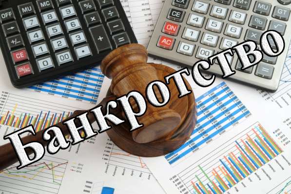 Программа о банкротстве клиринговых организаций в Краснодаре фото 3