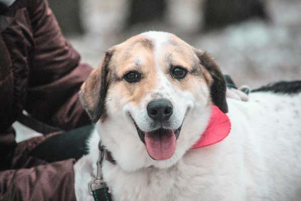 Улыбчивый лучик Фаина ищет семью в Москве фото 30