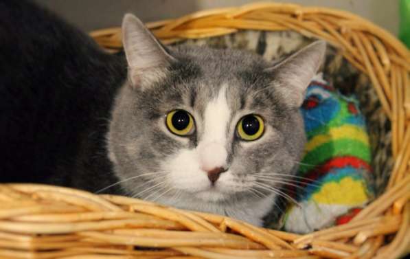 Предусмотрительный Стенли мечтает довериться семье