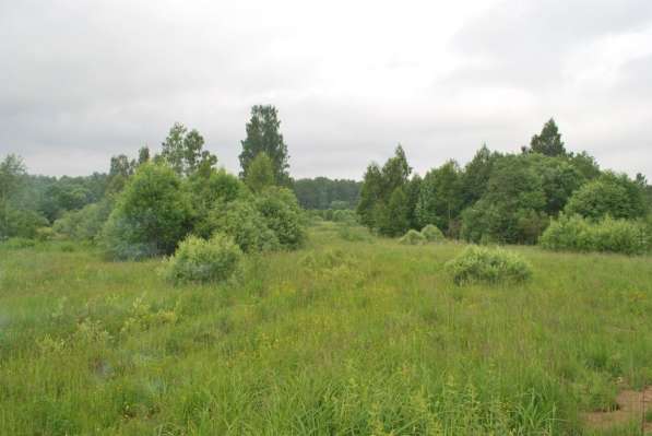 Продаю 10,5га в Гагаринском районе Смоленской области в Гагарине фото 3