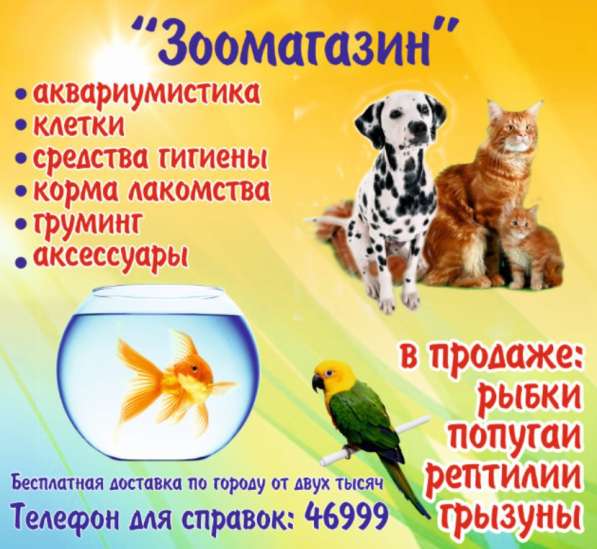 Магазин зоотоваров в Печоре фото 5