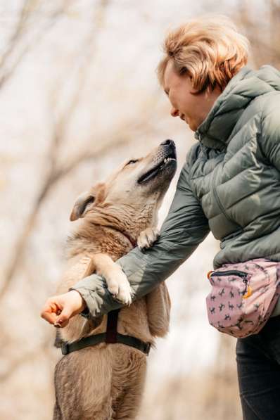 Ищет дом Ромео #ромео_дубоваяроща в Москве фото 44