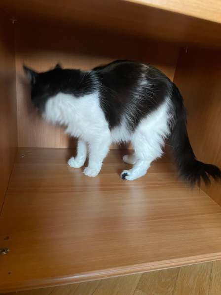 Шкаф для вещей на заказ в Москве фото 8