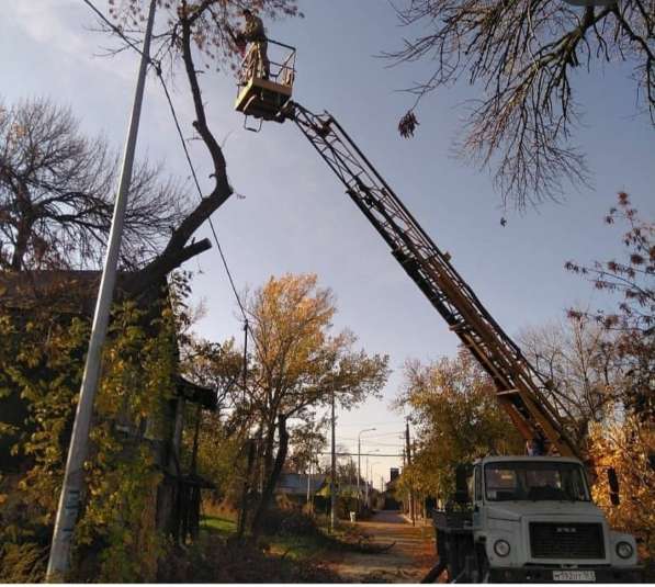 Спил деревьев любой сложности в Пензе фото 6