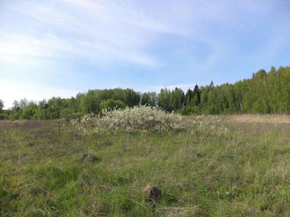 Продается земельный участок 9,5 соток в СНТ « сюково», Можайский район, 120 км от МКАД по Минскому шоссе в Можайске