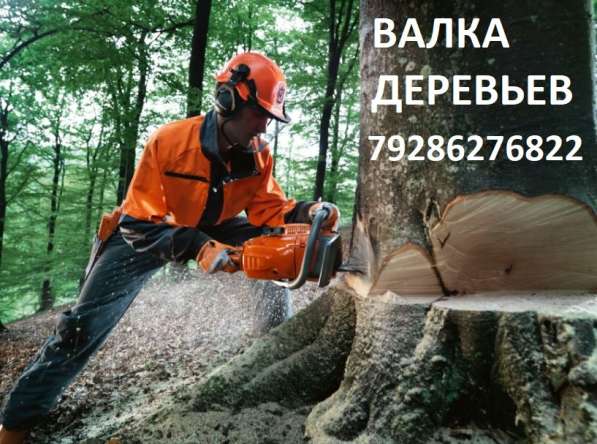 Спил деревьев в Ростове-на-Дону