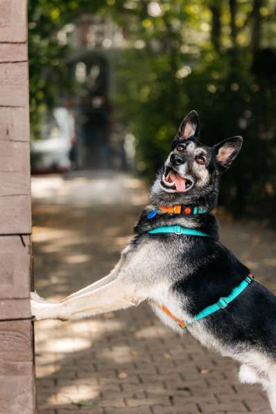 Монти ждёт своего человека в Москве фото 5