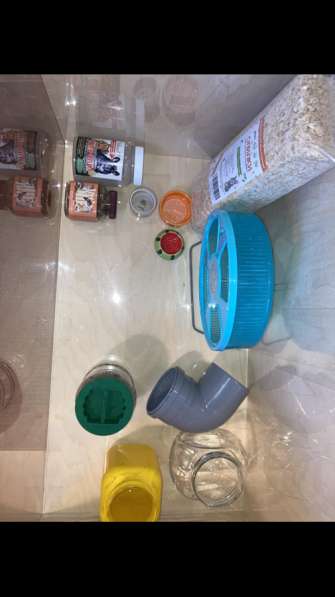 Витрина для хомяка бу 90х50х50 в Санкт-Петербурге