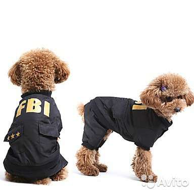 Теплая курточка FBI для собак. Новая в Калининграде фото 3