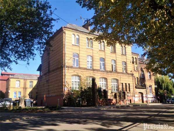 Комната светлая в самом центре Калининграда 22,3 в Калининграде фото 3