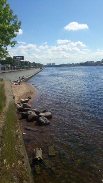 Продается евро-2хкомнатная на берегу Невы в Санкт-Петербурге фото 4