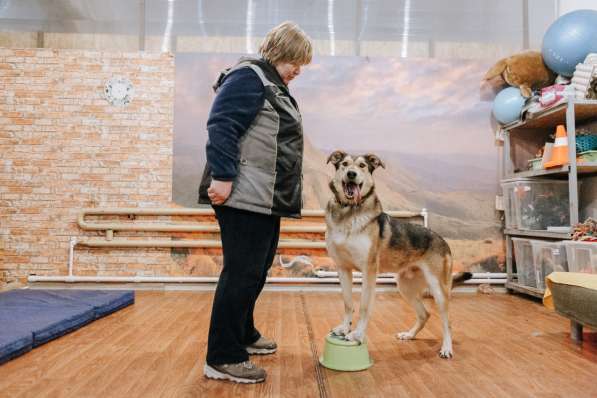 Нежнющий Купер в Москве фото 27