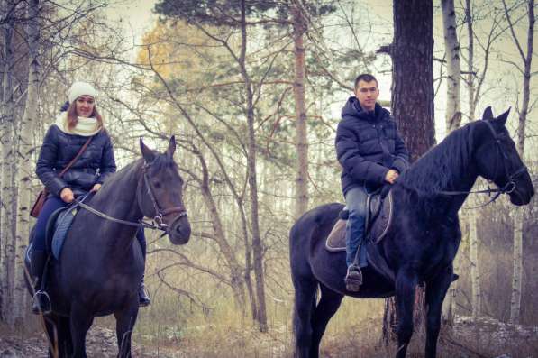 Лесные фотосессии с лошадьми и пони в Екатеринбурге фото 8