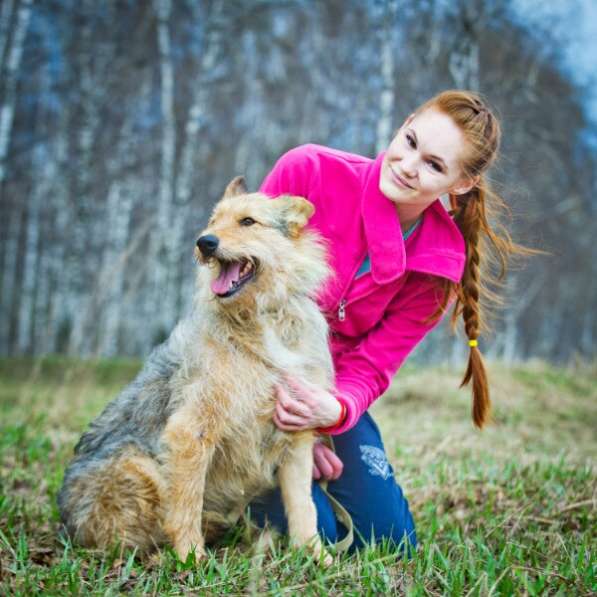 Трогательный Чарлик ищет дом в Москве фото 46