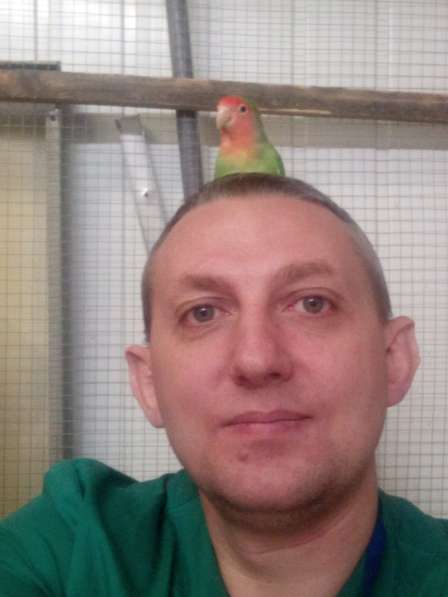 Лечение птиц в Москве