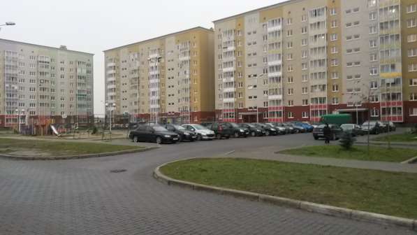 Сдам магазин 10 кв. м ул. Левитана в Калининграде фото 19