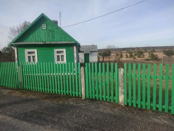Дом в Беловежской пуще