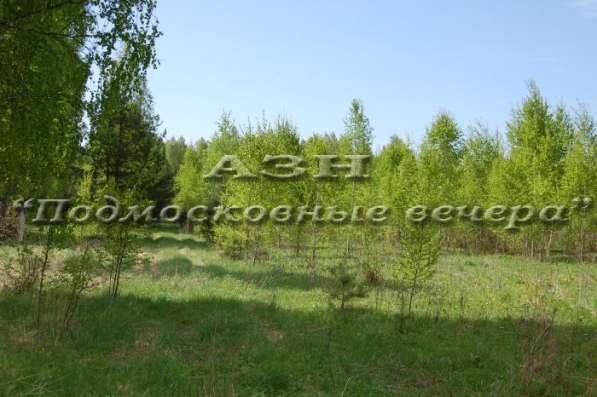 realty_mapper3.plot_in_locationСадовое некоммерческое тов-во. Площадь 20.00 сот.Есть Электричество. в Москве фото 21